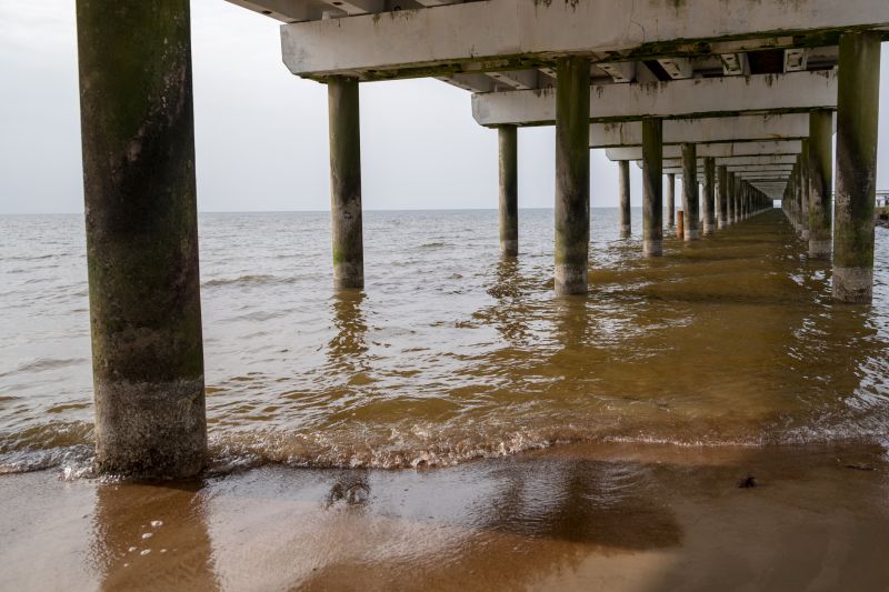 Environmental and Site Conditions